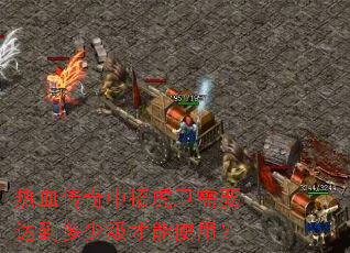 热血传奇中招虎卫需要达到多少级才能使用? 热血传奇中招虎卫需要达到多少级才能使用?