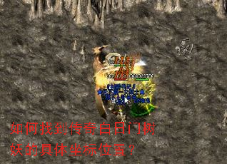如何找到传奇白日门树妖的具体坐标位置? 如何找到传奇白日门树妖的具体坐标位置?