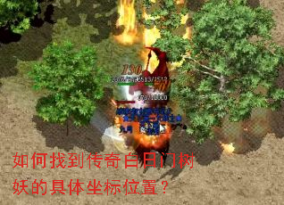 如何找到传奇白日门树妖的具体坐标位置? 如何找到传奇白日门树妖的具体坐标位置?