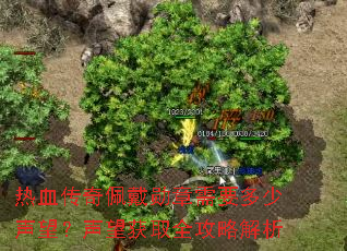 热血传奇佩戴勋章需要多少声望?声望获取全攻略解析 热血传奇佩戴勋章需要多少声望?声望获取全攻略解析