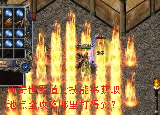 传奇世界道士技能书获取地点全攻略哪里打得到? 传奇世界道士技能书获取地点全攻略哪里打得到?