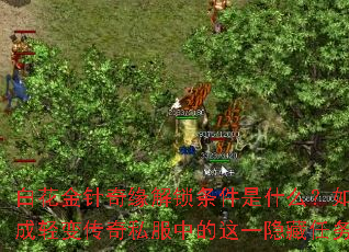 白花金针奇缘解锁条件是什么?如何达成轻变传奇私服中的这一隐藏任务? 白花金针奇缘解锁条件是什么?如何达成轻变传奇私服中的这一隐藏任务?