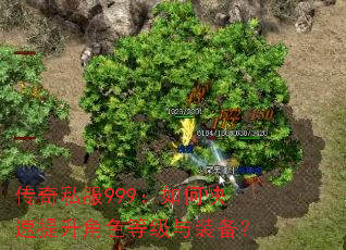 传奇私服999:如何快速提升角色等级与装备? 传奇私服999:如何快速提升角色等级与装备?