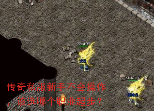 ����˽�����ֲ����������ѡ�ĸ�ְҵ�𲽣�