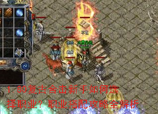 1.80���źϻ��������ѡ��ְҵ��ְҵ���乥��ȫ����