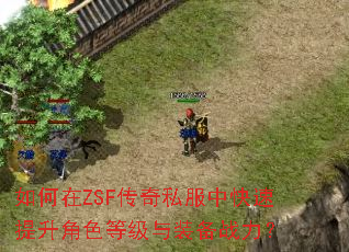 �����ZSF����˽���п���������ɫ�ȼ���װ��ս����