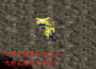 如何快速提升龙之谷传奇私服角色等级? 如何快速提升龙之谷传奇私服角色等级?