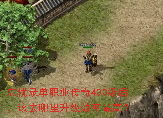 忘忧录单职业传奇400级后,该去哪里升级效率最高? 忘忧录单职业传奇400级后,该去哪里升级效率最高?