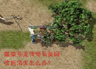 血染苍龙传奇装备回收后消失怎么办? 血染苍龙传奇装备回收后消失怎么办?