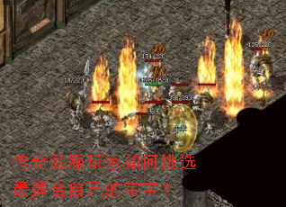 传奇私服玩家如何挑选最适合自己的宝宝? 传奇私服玩家如何挑选最适合自己的宝宝?