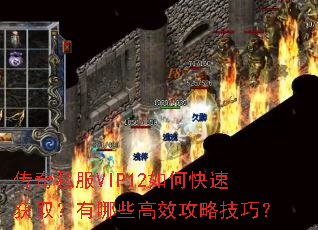 传奇私服VIP12如何快速获取?有哪些高效攻略技巧? 传奇私服VIP12如何快速获取?有哪些高效攻略技巧?