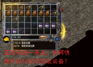 征途私服一条龙,如何快速升级与获取顶级装备? 征途私服一条龙,如何快速升级与获取顶级装备?