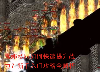 露娜私服如何快速提升战力?新手入门攻略全解析 露娜私服如何快速提升战力?新手入门攻略全解析