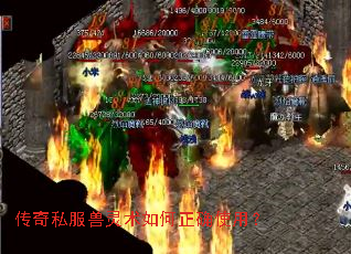 ����˽�������������ȷʹ�ã�