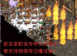 据说单职业传奇公开赛中哪些怪物拥有引爆技能? 据说单职业传奇公开赛中哪些怪物拥有引爆技能?