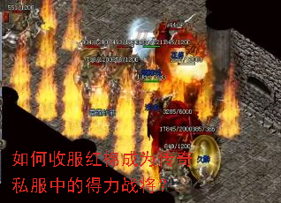 ����շ����޳�Ϊ����˽���еĵ���ս����