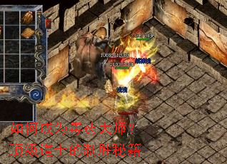 如何成为毒药大师?顶级道士的制胜秘籍 如何成为毒药大师?顶级道士的制胜秘籍