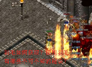 羽毛如何获取?使用羽毛有哪些不可不知的秘诀? 羽毛如何获取?使用羽毛有哪些不可不知的秘诀?