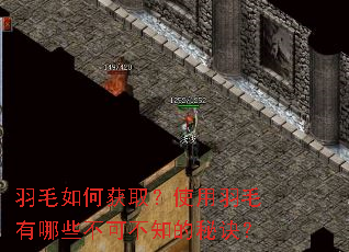 羽毛如何获取?使用羽毛有哪些不可不知的秘诀? 羽毛如何获取?使用羽毛有哪些不可不知的秘诀?