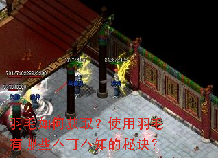 羽毛如何获取?使用羽毛有哪些不可不知的秘诀? 羽毛如何获取?使用羽毛有哪些不可不知的秘诀?