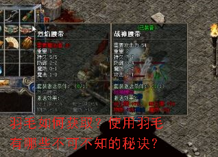 羽毛如何获取?使用羽毛有哪些不可不知的秘诀? 羽毛如何获取?使用羽毛有哪些不可不知的秘诀?