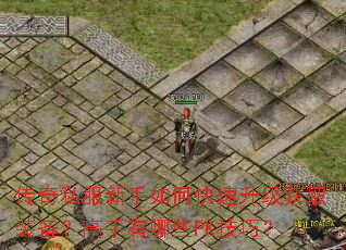 传奇私服新手如何快速升级获取装备?高手有哪些PK技巧? 传奇私服新手如何快速升级获取装备?高手有哪些PK技巧?