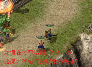 如何在传奇私服sf666中快速提升等级与获取极品装备? 如何在传奇私服sf666中快速提升等级与获取极品装备?