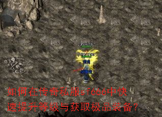 如何在传奇私服sf666中快速提升等级与获取极品装备? 如何在传奇私服sf666中快速提升等级与获取极品装备?