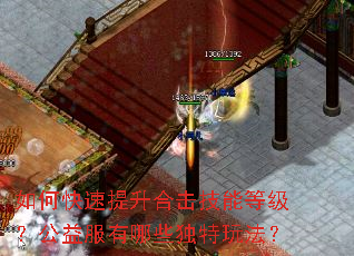 如何快速提升合击技能等级?公益服有哪些独特玩法? 如何快速提升合击技能等级?公益服有哪些独特玩法?