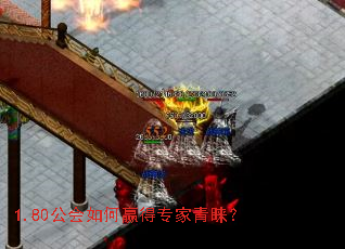 1.80公会如何赢得专家青睐? 1.80公会如何赢得专家青睐?