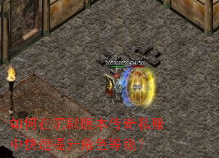 如何在沉默版本传奇私服中快速提升角色等级? 如何在沉默版本传奇私服中快速提升角色等级?