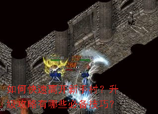 如何快速离开新手村?升级攻略有哪些必备技巧? 如何快速离开新手村?升级攻略有哪些必备技巧?