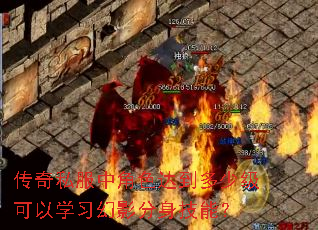 传奇私服中角色达到多少级可以学习幻影分身技能? 传奇私服中角色达到多少级可以学习幻影分身技能?