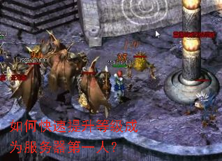 如何快速提升等级成为服务器第一人? 如何快速提升等级成为服务器第一人?