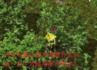 传奇私服公测时间是什么时候?新手攻略有哪些要点? 传奇私服公测时间是什么时候?新手攻略有哪些要点?