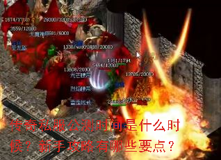传奇私服公测时间是什么时候?新手攻略有哪些要点? 传奇私服公测时间是什么时候?新手攻略有哪些要点?