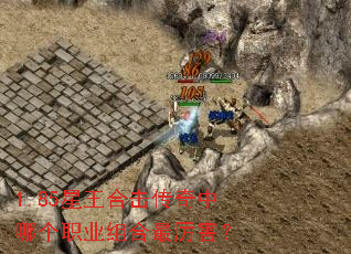 1.85星王合击传奇中哪个职业组合最厉害? 1.85星王合击传奇中哪个职业组合最厉害?
