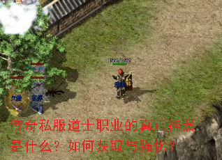 传奇私服道士职业的真正神器是什么?如何获取与强化? 传奇私服道士职业的真正神器是什么?如何获取与强化?