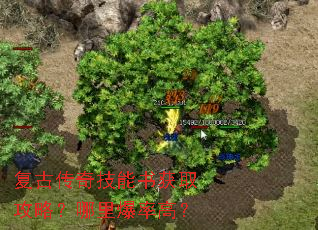 复古传奇技能书获取攻略?哪里爆率高? 复古传奇技能书获取攻略?哪里爆率高?