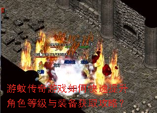 游蚊传奇游戏如何快速提升角色等级与装备获取攻略? 游蚊传奇游戏如何快速提升角色等级与装备获取攻略?