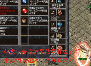 盛大传奇官方网站是什么?新手如何快速入门游戏攻略? 盛大传奇官方网站是什么?新手如何快速入门游戏攻略?