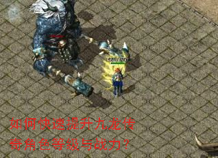 如何快速提升九龙传奇角色等级与战力? 如何快速提升九龙传奇角色等级与战力?