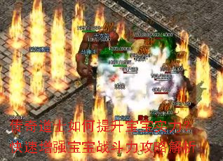 传奇道士如何提升宝宝实力?快速增强宝宝战斗力攻略解析 传奇道士如何提升宝宝实力?快速增强宝宝战斗力攻略解析