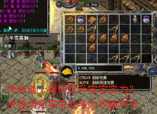传奇道士如何提升宝宝实力?快速增强宝宝战斗力攻略解析 传奇道士如何提升宝宝实力?快速增强宝宝战斗力攻略解析