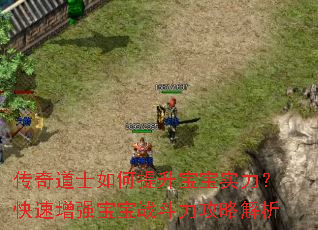 传奇道士如何提升宝宝实力?快速增强宝宝战斗力攻略解析 传奇道士如何提升宝宝实力?快速增强宝宝战斗力攻略解析