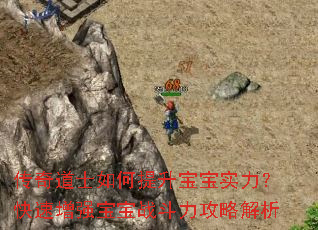 传奇道士如何提升宝宝实力?快速增强宝宝战斗力攻略解析 传奇道士如何提升宝宝实力?快速增强宝宝战斗力攻略解析