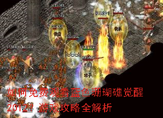 如何免费观看蓝色珊瑚礁觉醒2012?游戏攻略全解析 如何免费观看蓝色珊瑚礁觉醒2012?游戏攻略全解析