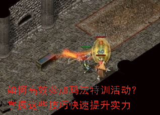 如何高效参加玛法特训活动?掌握这些技巧快速提升实力 如何高效参加玛法特训活动?掌握这些技巧快速提升实力