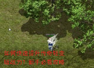 如何快速提升传奇轻变版战力?新手必看攻略 如何快速提升传奇轻变版战力?新手必看攻略