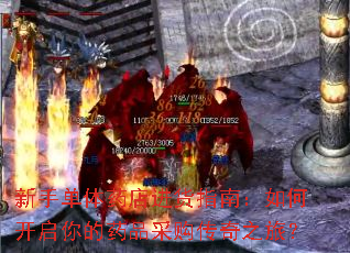 新手单体药店进货指南:如何开启你的药品采购传奇之旅? 新手单体药店进货指南:如何开启你的药品采购传奇之旅?